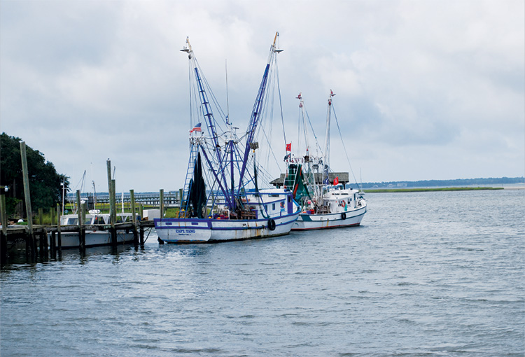 Fishing Boats on the Cooper River