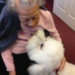 Heaven and the Rainbow Bridge
